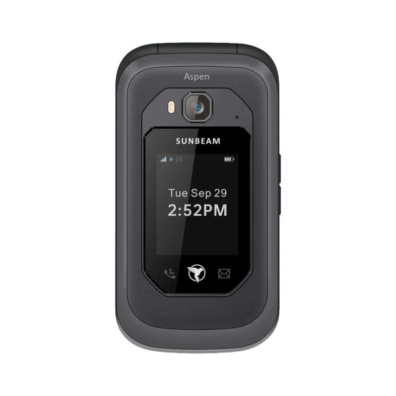 Sunbeam F1 Pro