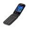 Sunbeam F1 Pro